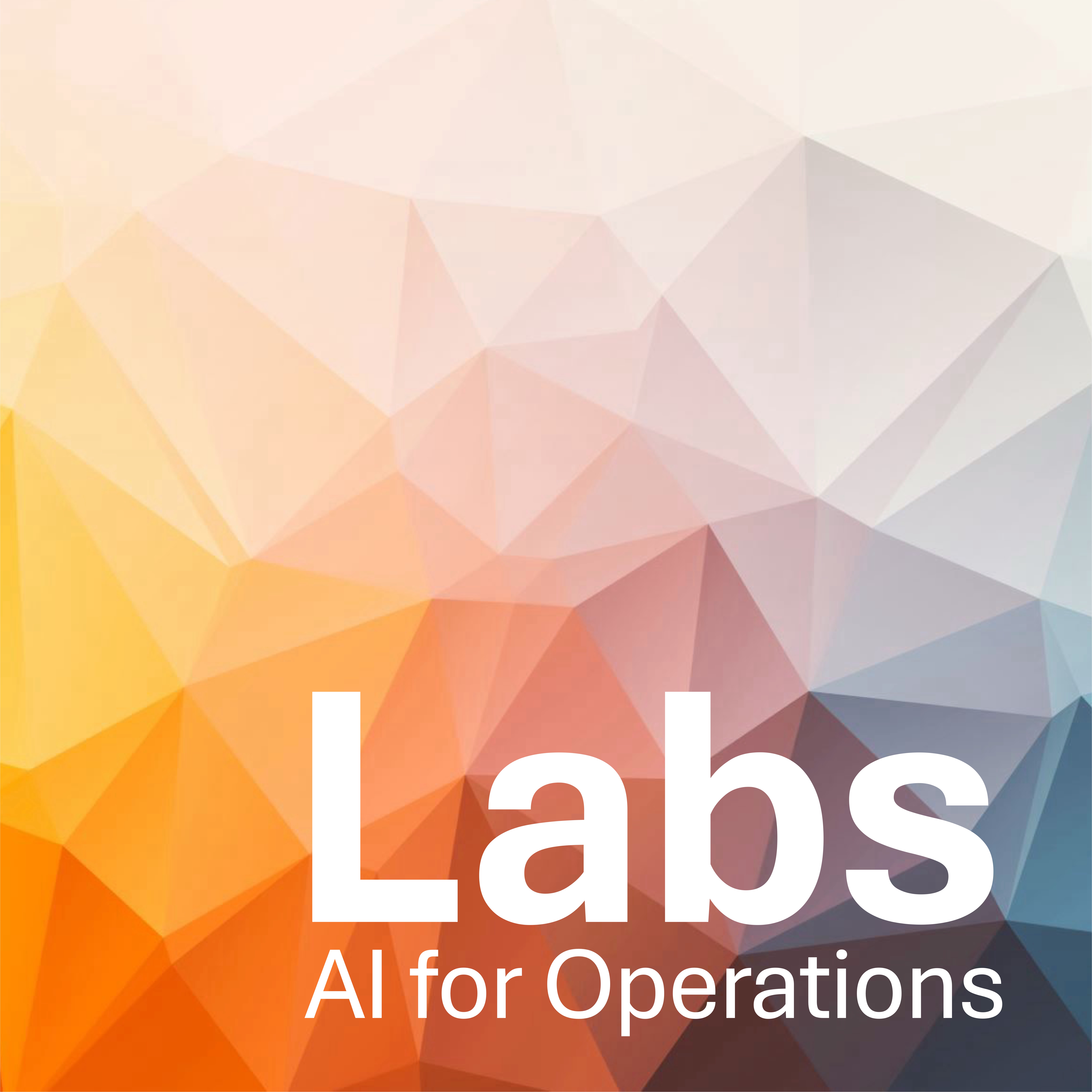 LimeStreams Labs - AI for Operations